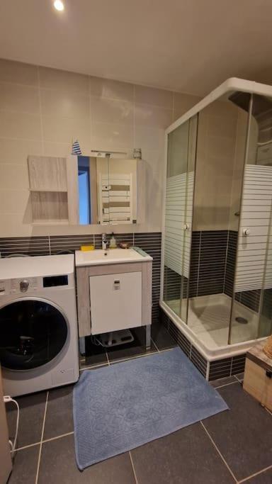 Appartement Cocooning Ars-sur-Moselle Εξωτερικό φωτογραφία